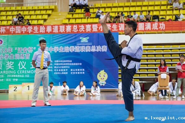 朱洪森个人品势比赛中 朱洪森个人品势比赛中